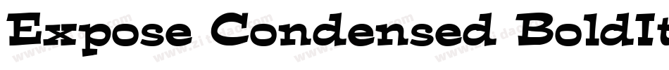 Expose Condensed BoldItalic字体转换